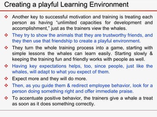 Creating a playful Learning Environment
 Another key to successful motivation and training is treating each
person as having “unlimited capacities for development and
accomplishment,” just as the trainers view the whales.
 They try to show the animals that they are trustworthy friends, and
they then use that friendship to create a playful environment.
 They turn the whole training process into a game, starting with
simple lessons the whales can learn easily. Starting slowly &
keeping the training fun and friendly works with people as well.
 Having key expectations helps, too, since people, just like the
whales, will adapt to what you expect of them.
 Expect more and they will do more.
 Then, as you guide them & redirect employee behavior, look for a
person doing something right and offer immediate praise.
 To accentuate positive behavior, the trainers give a whale a treat
as soon as it does something correctly.
 