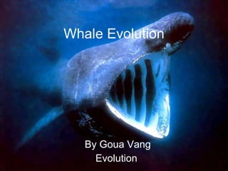 Whale Evolution By Goua Vang Evolution  