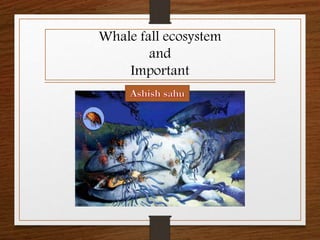 Whale fall ecosystem
and
Important
 