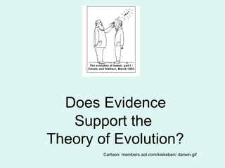   Does Evidence  Support the  Theory of Evolution? Cartoon: members.aol.com/kiekeben/ darwin.gif   
