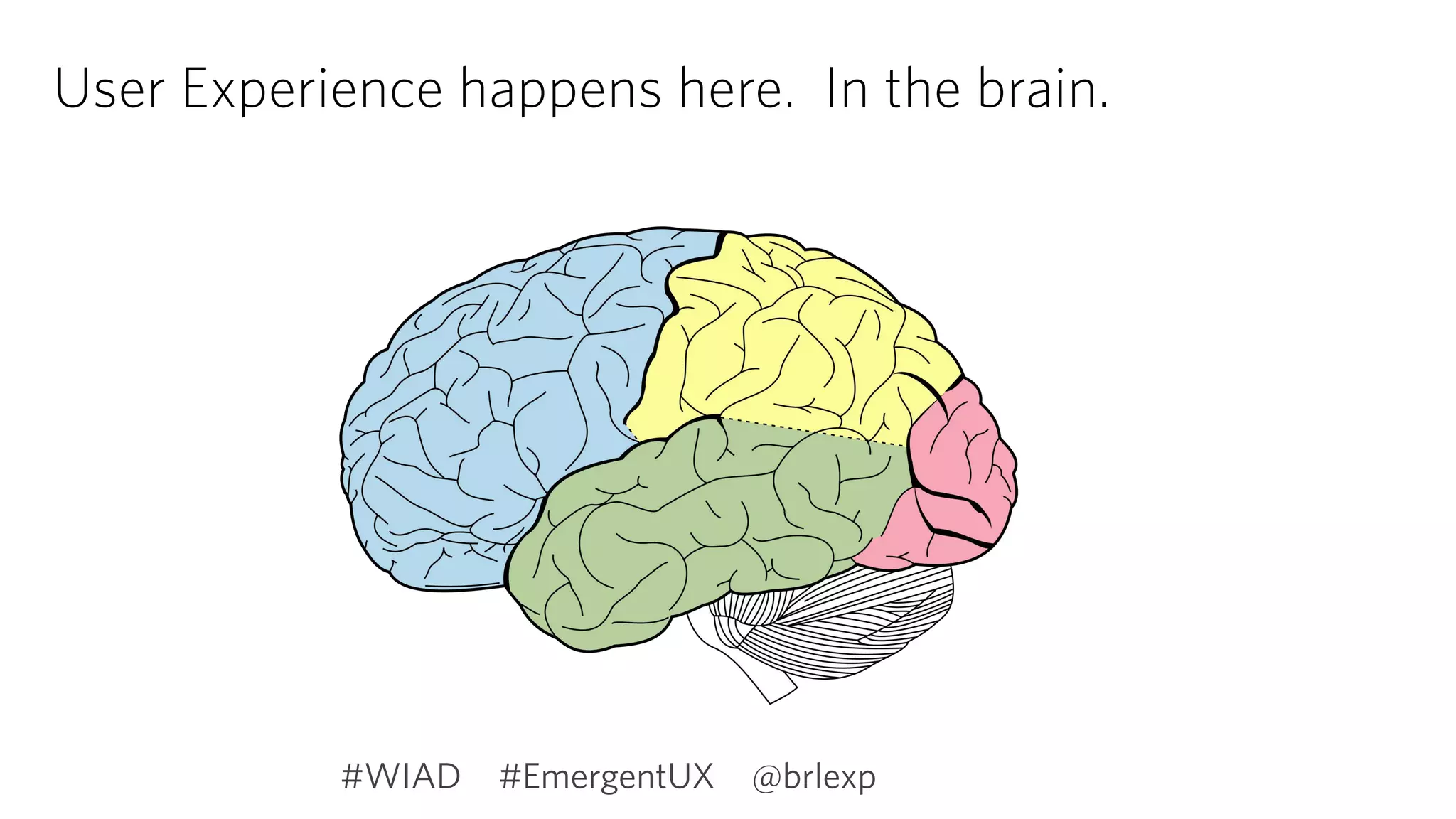 User Experience happens here. In the brain.
#EmergentUX @brlexp#WIAD
 