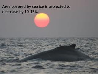 Area covered by sea ice is projected to
decrease by 10-15%.
 