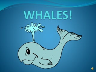 What is a whale?
 A whale is a large fish found in the ocean.
 It is also a MAMMAL, just like us!
 Mammals are warm-blo...