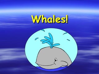 Whales! 