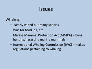 Issues
Whaling:
– Nearly wiped out many species
– Was for food, oil, etc.
– Marine Mammal Protection Act (MMPA) – bans
hunting/harassing marine mammals
– International Whaling Commission (IWC) – makes
regulations pertaining to whaling
 