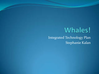 Whales! Integrated Technology Plan Stephanie Kalan 