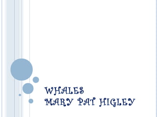WHALES
MARY PAT HIGLEY
 