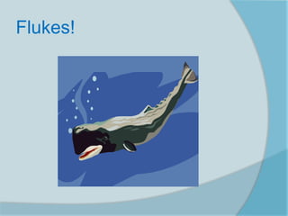 Flukes!
 
