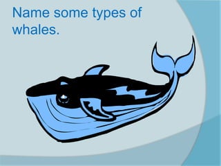 Name some types of
whales.
 