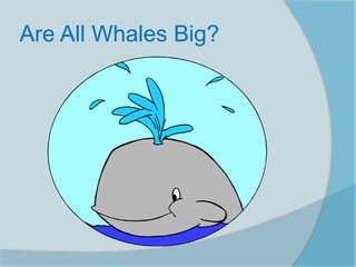 Are All Whales Big?
 