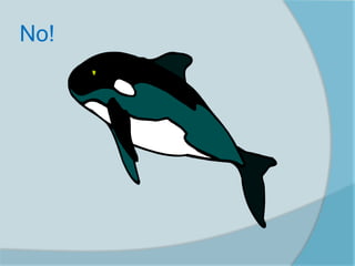 No!
 