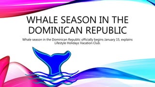 WHALE SEASON IN THE
DOMINICAN REPUBLIC
Whale season in the Dominican Republic officially begins January 15, explains
Lifestyle Holidays Vacation Club.
 