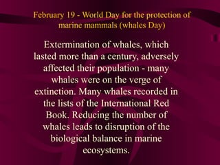 February 19 - World Day for the protection of
marine mammals (whales Day)

Extermination of whales, which
lasted more than a century, adversely
affected their population - many
whales were on the verge of
extinction. Many whales recorded in
the lists of the International Red
Book. Reducing the number of
whales leads to disruption of the
biological balance in marine
ecosystems.

 