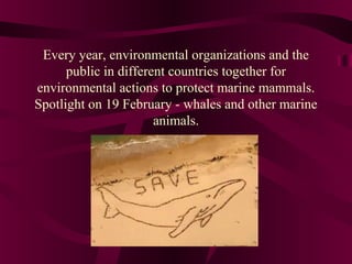 Every year, environmental organizations and the
public in different countries together for
environmental actions to protect marine mammals.
Spotlight on 19 February - whales and other marine
animals.

 