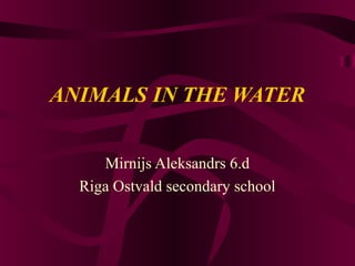 ANIMALS IN THE WATER
Mirnijs Aleksandrs 6.d
Riga Ostvald secondary school

 