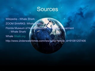 Sources Wikipedia - Whale Shark ZOOM SHARKS: Whale Shark Florida Museum of Natural History Ichthyology  Deparment : Whale Shark Whale  Shark.org   http://www.underwatertimes.com/news.php?article_id=91081257406   