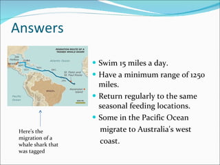 Answers Swim 15 miles a day.  Have a minimum range of 1250 miles. Return regularly to the same seasonal feeding locations. Some in the Pacific Ocean  migrate to Australia's west  coast. Here’s the migration of a whale shark that was tagged 
