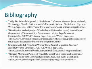 Bibliography " Why Do Animals Migrate?  | LiveScience ."  Current News on Space, Animals, Technology, Health, Environment, Culture and History | LiveScience  . N.p., n.d. Web. 9 Sept. 2011. <http://www.livescience.com/10235-animals-migrate.html>. "Distribution and migration: Whale shark (Rhincodon typus) Issues Paper."  Department of Sustainability, Environment, Water, Population and Communities (SEWPaC) - Home Page . N.p., n.d. Web. 7 Sept. 2011. <http://www.environment.gov.au/biodiversity/threatened/publications/recovery/r-typus-issues/distribution-and-migration.html>. Grabianowski, Ed. "HowStuffWorks "How Animal Migration Works"."  HowStuffWorks "Animals" . N.p., n.d. Web. 9 Sept. 2011. <http://animals.howstuffworks.com/animal-facts/animal-migration.htm>. "Stingray Migration Pictures | Travel the world with Carrie and Jonathan!."  Travel the world with Carrie and Jonathan! . N.p., n.d. Web. 9 Sept. 2011. <http://www.carrieandjonathan.com/stingray-migration-pictures/>. 