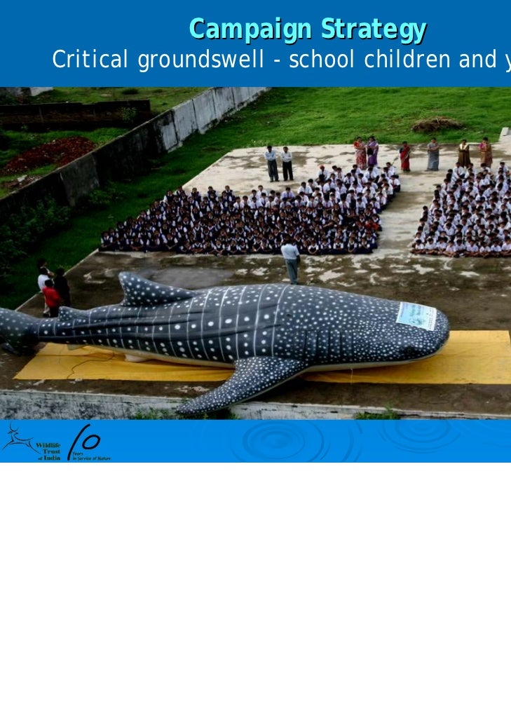Whale Shark Ppt 10 Yrs