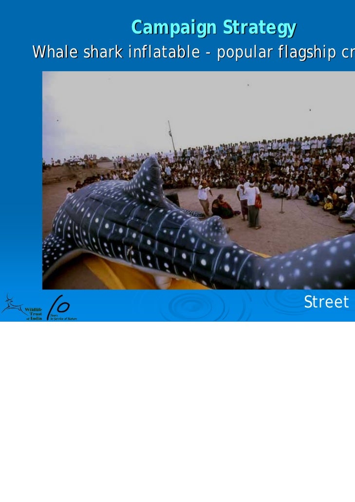 Whale Shark Ppt 10 Yrs