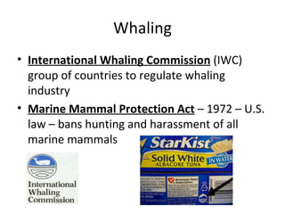 Whaling
• International Whaling Commission (IWC)
  group of countries to regulate whaling
  industry
• Marine Mammal Prote...