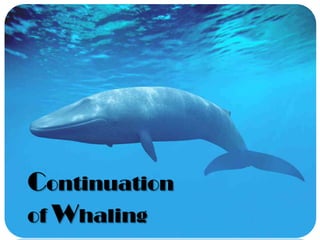 Continuation
of Whaling

 