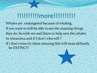         !!!!!!!!!!more!!!!!!!!!!Whales are  endangered because of whaling,If you want to still be able to see the amazing thingsthey do, be with me and listen to help save the whalesIn Antarctica and if I don't who will ?If I don't even try these amazing fish will most defiantly be EXTINCT!