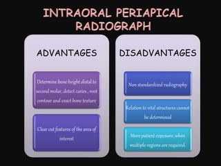 ADVANTAGES
Determine bone height distal to
second molar, detect caries , root
contour and exact bone texture
Clear cut features of the area of
interest
DISADVANTAGES
Non standardized radiography
Relation to vital structures cannot
be determined
More patient exposure, when
multiple regions are required.
 
