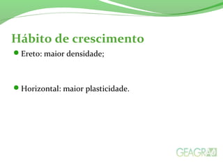Hábito de crescimento
Ereto: maior densidade;
Horizontal: maior plasticidade.
 