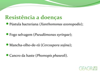 Resistência a doenças
Pústula bacteriana (Xanthomonas axonopodis);
Fogo selvagem (Pseudômonas syringae);
Mancha-olho-de-rã (Cercospora sojina);
Cancro da haste (Phomopis phaseoli).
 