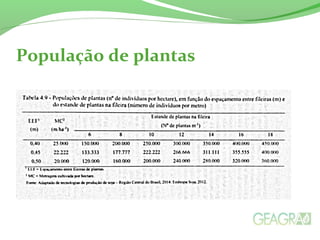 População de plantas
 