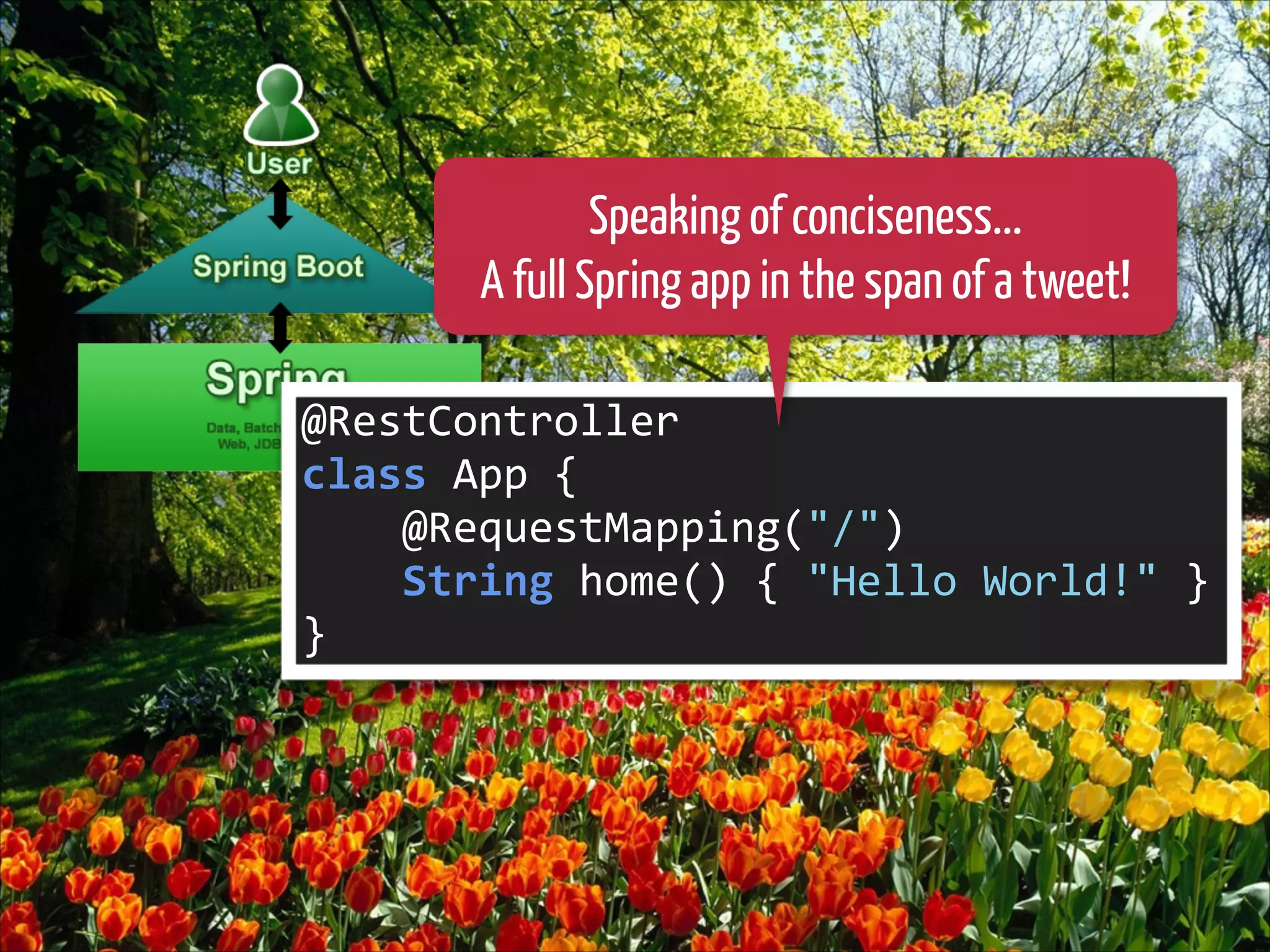 Speaking of conciseness...
A full Spring app in the span of a tweet!
@RestController	
  
class	
  App	
  {	
  
	
  	
  	
  	
  @RequestMapping("/")	
  
	
  	
  	
  	
  String	
  home()	
  {	
  "Hello	
  World!"	
  }	
  
}

 