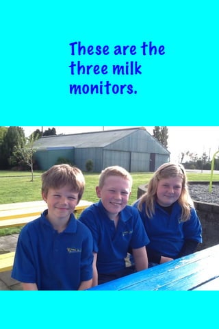 These are the
three milk
monitors.

 