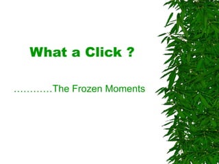 What a Click ? ………… The Frozen Moments 