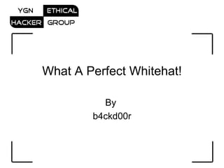 What A Perfect Whitehat! By  b4ckd00r 