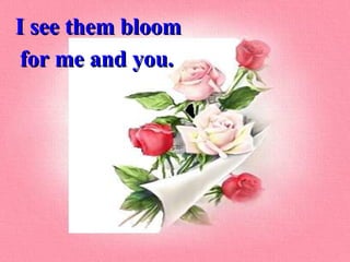 I see them bloom  for me and you. 