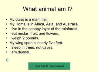 What animal am I?  ,[object Object],[object Object],[object Object],[object Object],[object Object],[object Object],[object Object],[object Object],Click here to reveal answer 