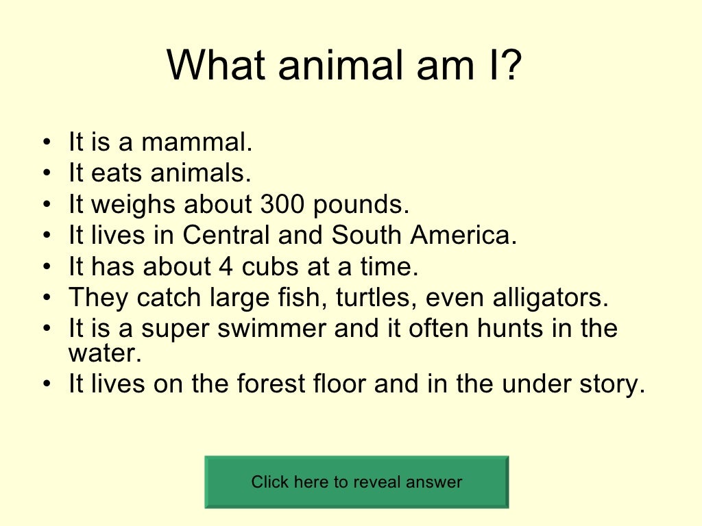What Animal Am I