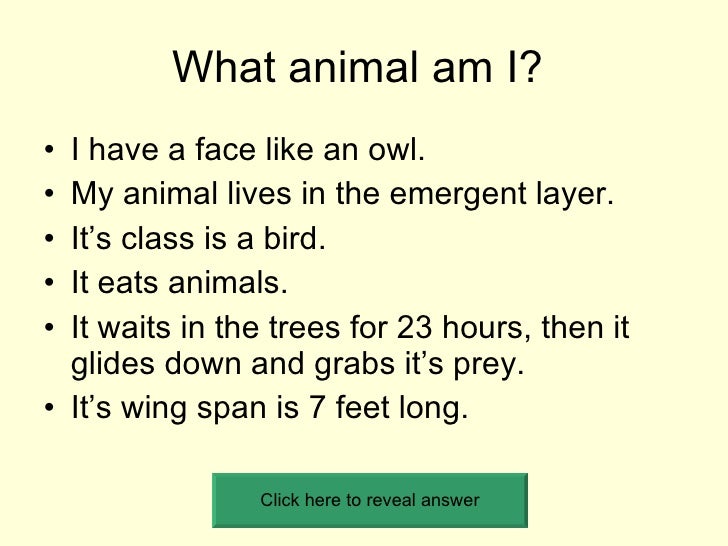 What Animal Am I