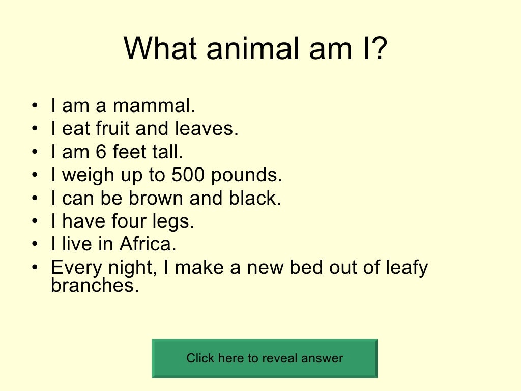 What Animal Am I