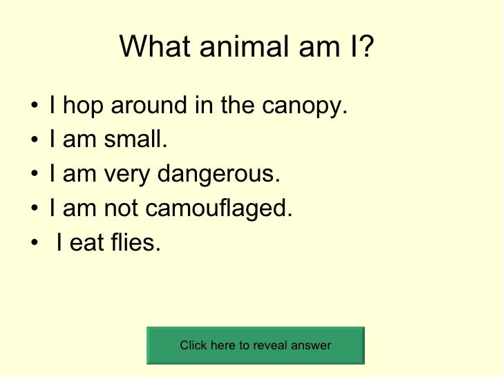 What Animal Am I