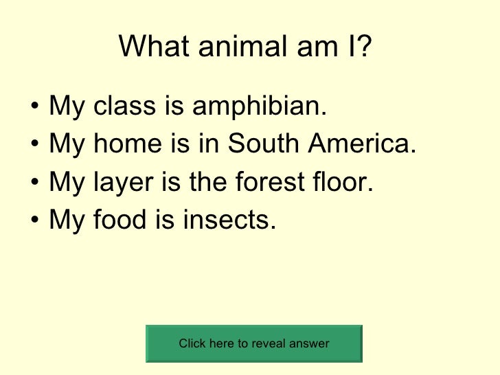 What Animal Am I