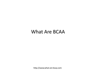 What Are BCAA




http://www.what-are-bcaa.com
 