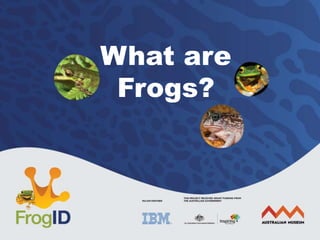 What are
Frogs?
 