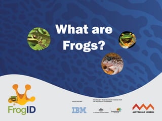 Frog Introduction Frogs, their features and amphibious evolution | PPTX