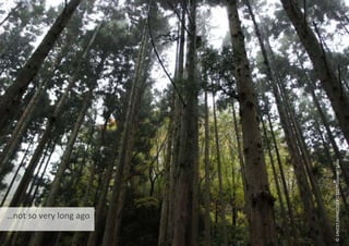 …not so very long ago
©
UNICEF/NYHQ2011-2321/Toshinori
Sano
 