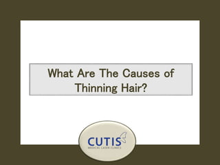 What Are The Causes of
Thinning Hair?
 