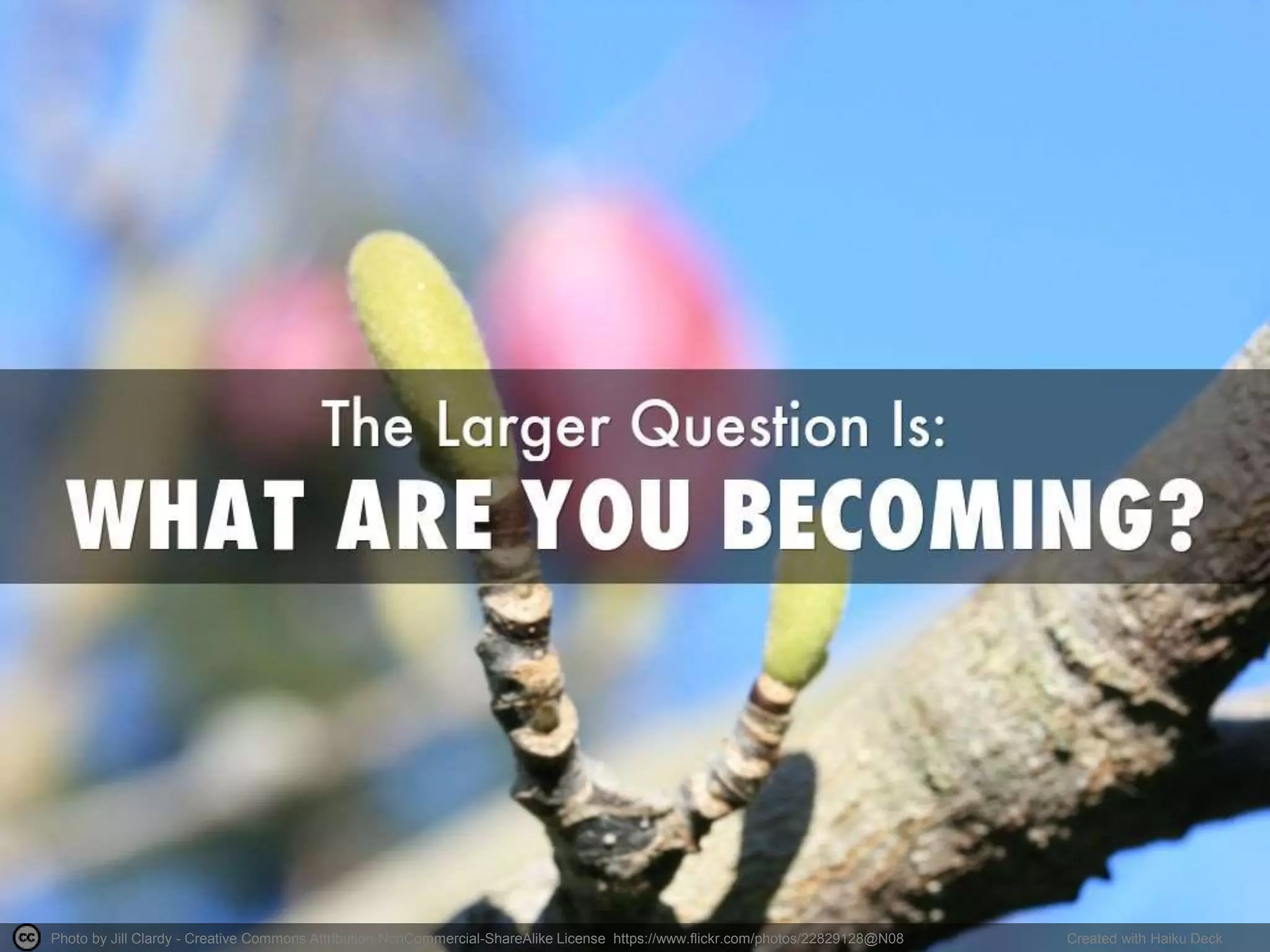 Photo by Jill Clardy - Creative Commons Attribution-NonCommercial-ShareAlike License https://www.flickr.com/photos/22829128@N08 Created with Haiku Deck
 