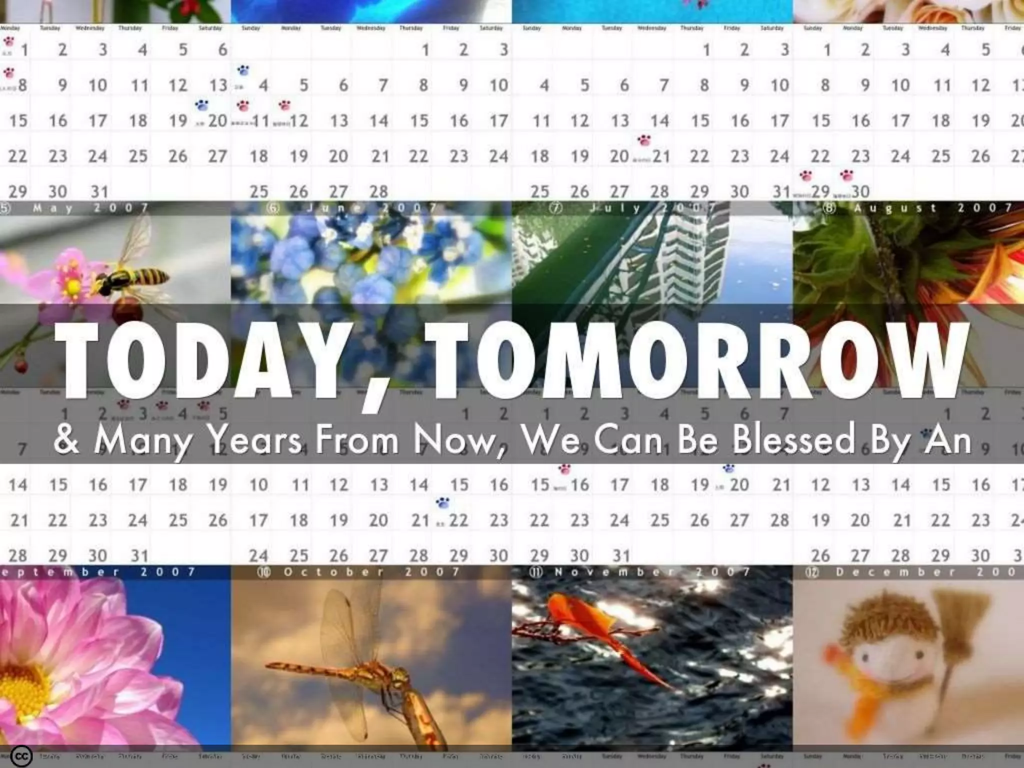 Photo by tanakawho - Creative Commons Attribution License https://www.flickr.com/photos/28481088@N00 Created with Haiku Deck
 