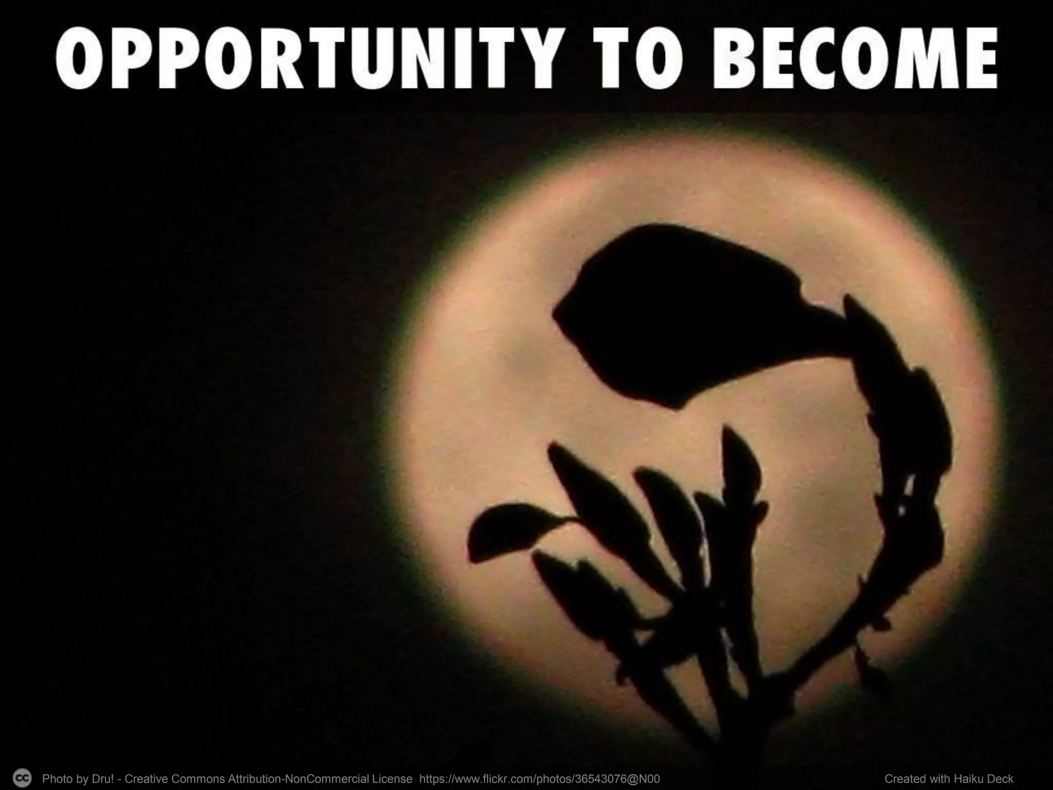 Photo by Dru! - Creative Commons Attribution-NonCommercial License https://www.flickr.com/photos/36543076@N00 Created with Haiku Deck
 